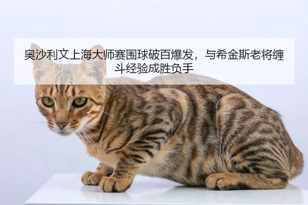 奥沙利文上海大师赛围球破百爆发，与希金斯老将缠斗经验成胜负手