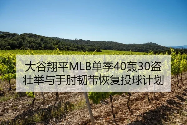 大谷翔平MLB单季40轰30盗壮举与手肘韧带恢复投球计划
